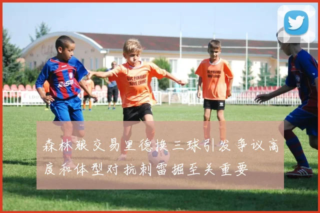森林狼交易里德换三球引发争议高度和体型对抗刺雷掘至关重要
